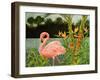 Tropical Flamingo I-Linda Baliko-Framed Art Print