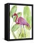 Tropical Flamingo I-Melissa Wang-Framed Stretched Canvas