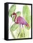 Tropical Flamingo I-Melissa Wang-Framed Stretched Canvas