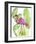 Tropical Flamingo I-Melissa Wang-Framed Art Print