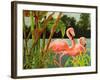 Tropical Flamingo II-Linda Baliko-Framed Art Print