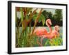 Tropical Flamingo II-Linda Baliko-Framed Art Print