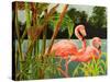 Tropical Flamingo II-Linda Baliko-Stretched Canvas