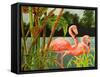 Tropical Flamingo II-Linda Baliko-Framed Stretched Canvas