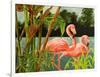 Tropical Flamingo II-Linda Baliko-Framed Art Print