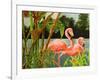 Tropical Flamingo II-Linda Baliko-Framed Art Print