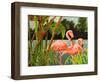 Tropical Flamingo II-Linda Baliko-Framed Art Print