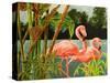 Tropical Flamingo II-Linda Baliko-Stretched Canvas