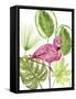 Tropical Flamingo II-Melissa Wang-Framed Stretched Canvas
