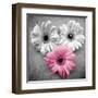 Tropical Floral Bunch I-Gail Peck-Framed Art Print
