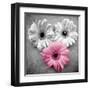 Tropical Floral Bunch I-Gail Peck-Framed Art Print