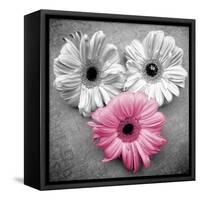 Tropical Floral Bunch I-Gail Peck-Framed Stretched Canvas