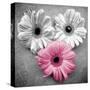 Tropical Floral Bunch I-Gail Peck-Stretched Canvas