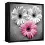 Tropical Floral Bunch I-Gail Peck-Framed Stretched Canvas