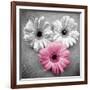 Tropical Floral Bunch I-Gail Peck-Framed Art Print