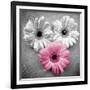 Tropical Floral Bunch I-Gail Peck-Framed Art Print