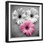 Tropical Floral Bunch I-Gail Peck-Framed Art Print