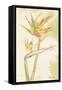 Tropical Floral II Light-Cheri Blum-Framed Stretched Canvas