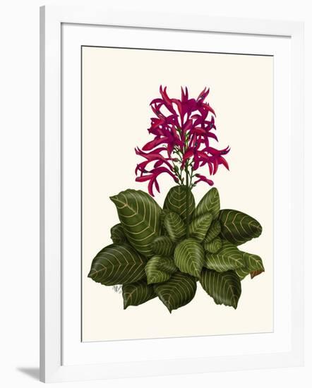 Tropical Flower 1-Fab Funky-Framed Art Print