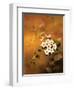 Tropical Flower-Haruyo Morita-Framed Art Print