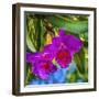 Tropical flowers, Florida.-William Perry-Framed Photographic Print
