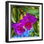 Tropical flowers, Florida.-William Perry-Framed Photographic Print