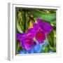 Tropical flowers, Florida.-William Perry-Framed Photographic Print