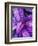 Tropical Foliage at Fond Deux Estate, St. Lucia, Caribbean-Greg Johnston-Framed Photographic Print