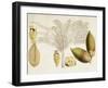 Tropical Foliage & Fruit VIII-Curtis-Framed Art Print