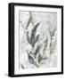 Tropical Foliage Study II-Ethan Harper-Framed Art Print