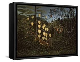 Tropical Forest: Battling Tiger and Bull-Henri Rousseau-Framed Stretched Canvas