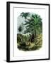 Tropical Forest of the "Spanish Main" of Central America or the Caribbean-null-Framed Giclee Print