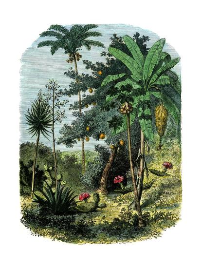 Premium Giclee Print, , large