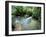 Tropical Forest, Shaw Park, Ocho Rios, Jamaica, West Indies, Central America-Sergio Pitamitz-Framed Premium Photographic Print