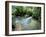 Tropical Forest, Shaw Park, Ocho Rios, Jamaica, West Indies, Central America-Sergio Pitamitz-Framed Photographic Print