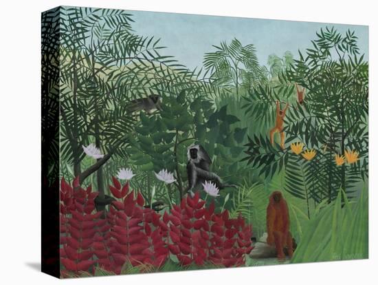 Tropical Forest with Monkeys, 1910-Henri Rousseau-Stretched Canvas