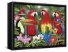 Tropical Friends-William Vanderdasson-Framed Stretched Canvas