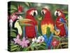 Tropical Friends-William Vanderdasson-Stretched Canvas