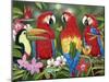 Tropical Friends-William Vanderdasson-Mounted Giclee Print