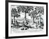 Tropical Fruit Trees, 1596-Johannes Baptista van Frueauf the Younger-Framed Giclee Print