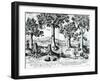 Tropical Fruit Trees, 1596-Johannes Baptista van Frueauf the Younger-Framed Giclee Print