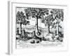 Tropical Fruit Trees, 1596-Johannes Baptista van Frueauf the Younger-Framed Giclee Print