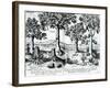 Tropical Fruit Trees, 1596-Johannes Baptista van Frueauf the Younger-Framed Giclee Print