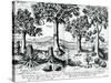 Tropical Fruit Trees, 1596-Johannes Baptista van Frueauf the Younger-Stretched Canvas