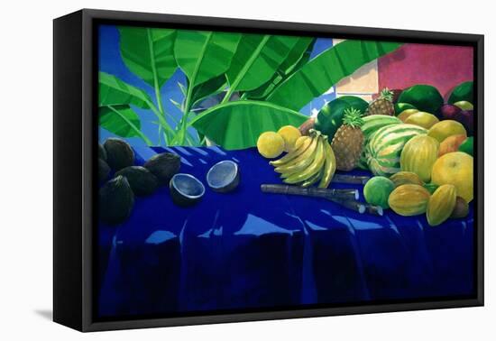 Tropical Fruit-Lincoln Seligman-Framed Stretched Canvas