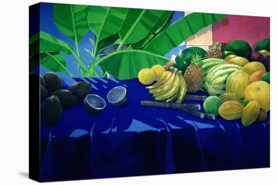 Tropical Fruit-Lincoln Seligman-Stretched Canvas