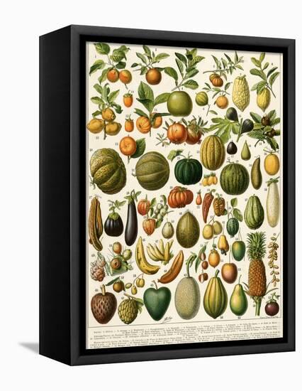 Tropical Fruits-null-Framed Stretched Canvas