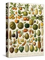 Tropical Fruits-null-Stretched Canvas