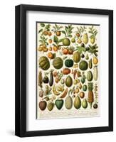 Tropical Fruits-null-Framed Giclee Print