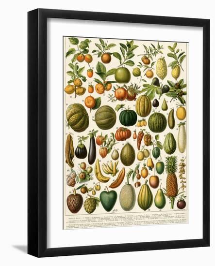 Tropical Fruits-null-Framed Giclee Print